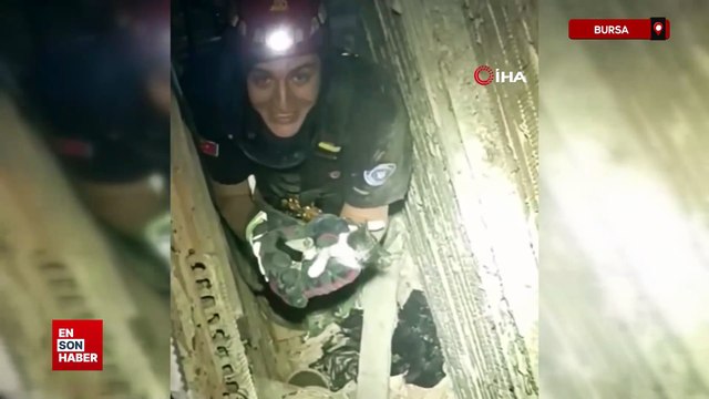 Bursa'da 10 metrelik havalandırma boşluğuna düşen yavru kediyi itfaiye ekipleri böyle kurtardı