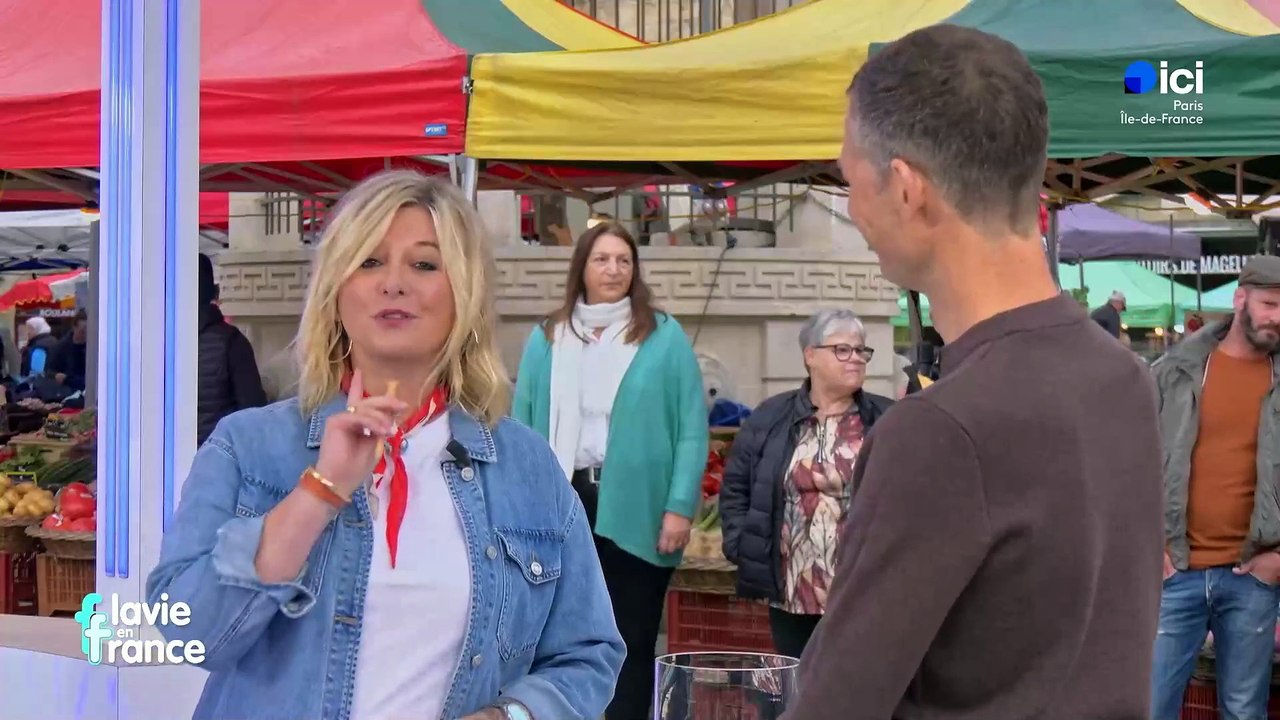 L'animatrice Flavie Flament a ressuscité "Le Schmilblic", jeu télé de la fin des années 1960, ce matin dans le cadre de sa nouvelle émission sur France 3, "Flavie en France" - VIDEO