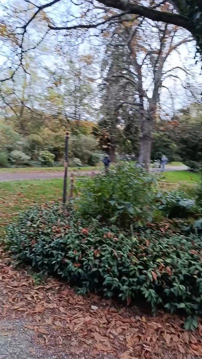 Tolouse Best Garden