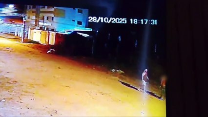 Confronto em Candeias: Morador Defende Gatos de Rua de Ataque Cruel - A Situação dos Animais em Chapoatão dos Guararapes