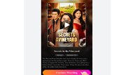 Secrets In The Vineyard Chinese Drama - English Sub