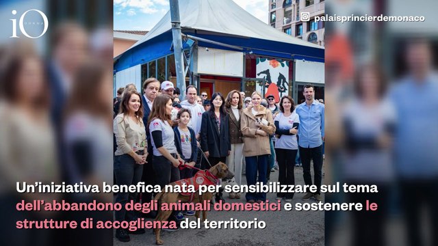 Charlène di Monaco e il suo cane Harley in prima linea per i diritti degli animali