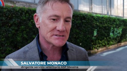 Parla il dirigente dell'Asp sulle barche nel canale di Faro