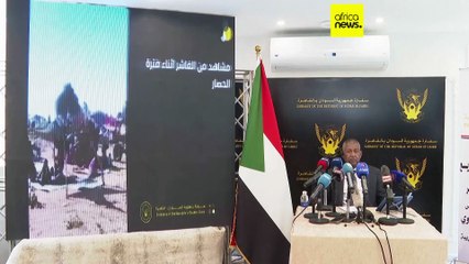 Sudan's Ambassador urges global action against RSF for war crimes