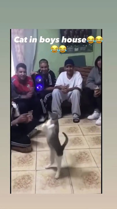 THE BOYS