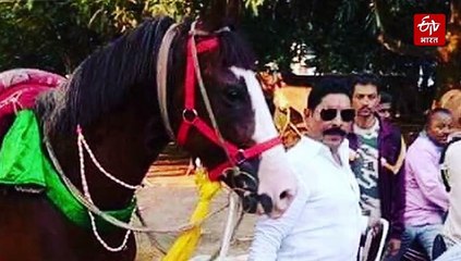 मोकामा की 'खूनी' कहानी, दिलीप से दुलारचंद.. सूरजभान से अनंत सिंह तक