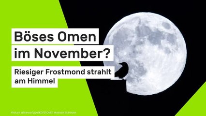 Vollmond am 05.11.2025: Böses Omen im November? Riesiger Frostmond strahlt am Himmel