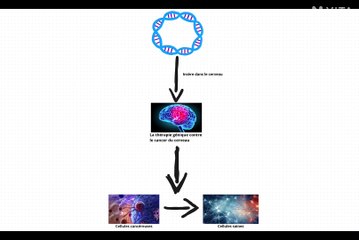 Thérapie génique pour réviserai les cellules cancéreuses du cerveau