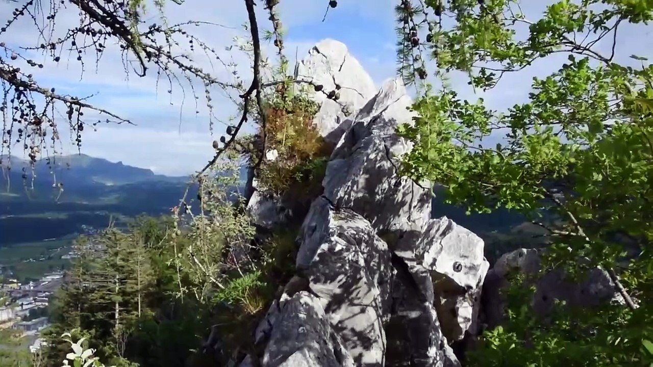 Climbing with only one hand -   Peter Siegfried Krug