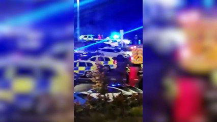 Horror en un tren a Londres: dos hombres atacaron a cuchilladas a 10 pasajeros