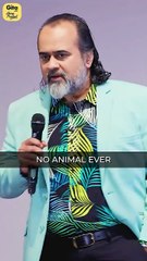 Humans vs Animals || Acharya Prashant