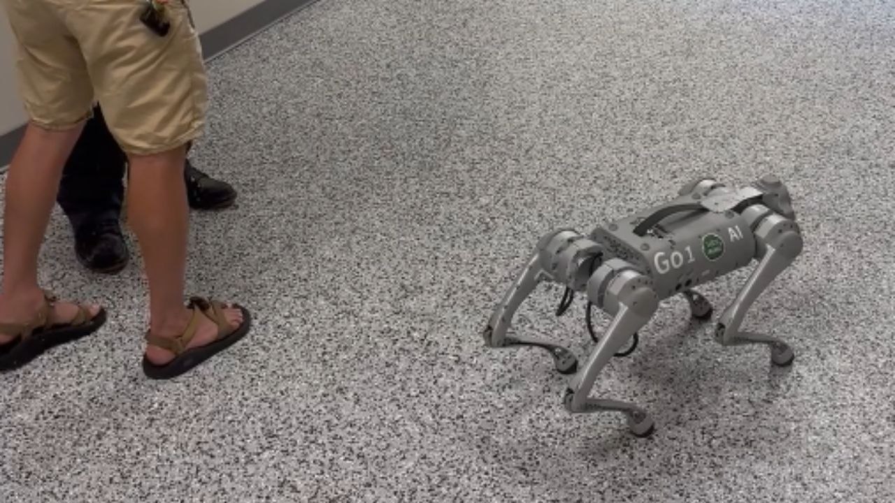 'This Thing is Pretty Cool!' - Innovative robot dog leaves a strong impression on man