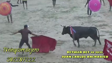 Corralejas Betulia 2025 | Toros de Juan Carlos Anicharico