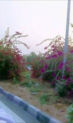 Roadtrip | KMP Expressway | Explore the beauty of Nature | Nature with Amit