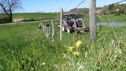 les femmes sont ds le pré : bande annonce