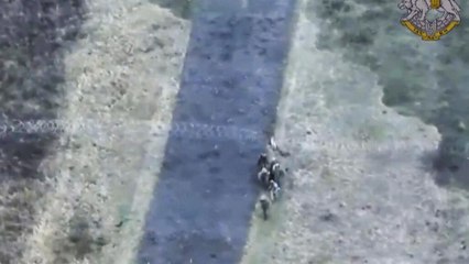 Deux soldats nord-coréens capturés sur le front ukrainien demandent l'asile à la Corée du Sud