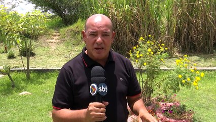 Tragédia na BR-423: Homem de 57 Anos Morre Atropelado Após Dia de Bebedeira em Cachoeirinha