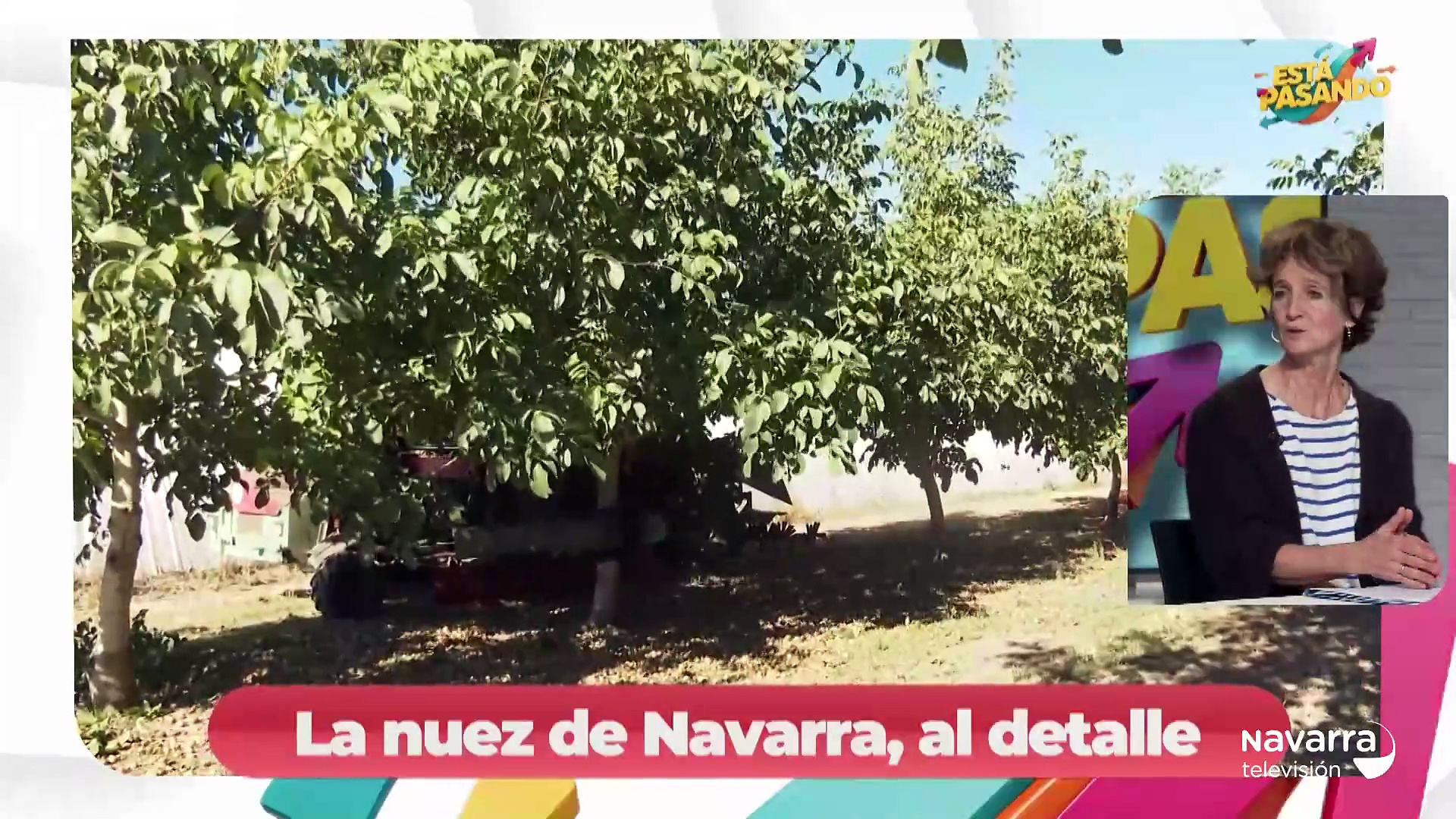 La nuez de Navarra, una nueva marca que revoluciona el mercado