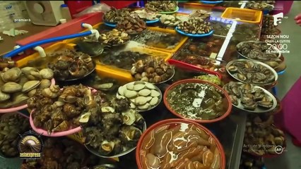 Asia Express - Drumul Eroilor - Episodul 33 din  2 . Noiembrie 2025  part 1