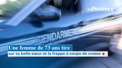 Une femme de 73 ans tire sur sa belle-sœur et la frappe à coups de crosse dans les Alpes-de-Haute-Provence