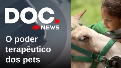 O poder de cura: a ciência e os benefícios da terapia com animais na saúde humana | DOCUMENTO JP