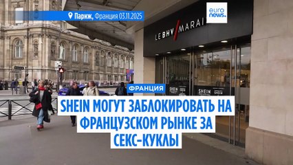 Франция может заблокировать Shein за детские секс-куклы