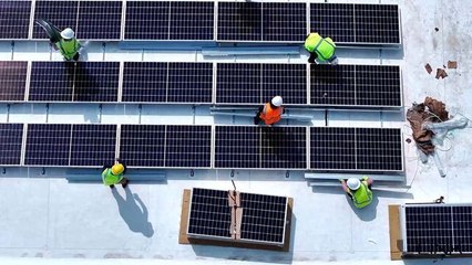 Link Logistics Sees Strong Supply Chain