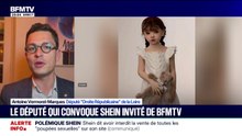 Scandale autour de Shein: "Il faut réclamer des comptes" au site, explique Antoine Vermorel-Marques, député (Droite Républicaine)