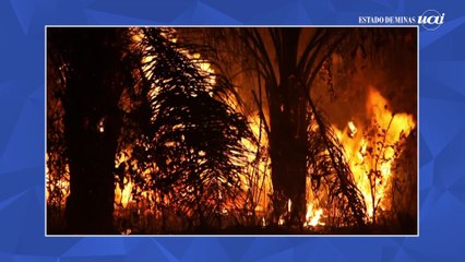 Brasil tem a maior redução de emissões de poluentes em 15 anos