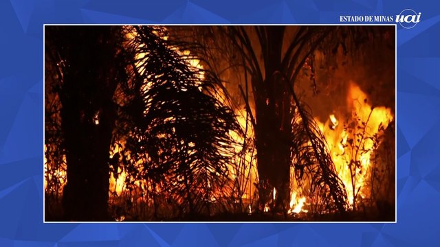 Brasil tem a maior redução de emissões de poluentes em 15 anos