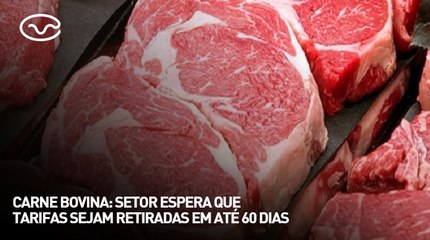Carne bovina: setor espera que tarifas sejam retiradas em até 60 dias