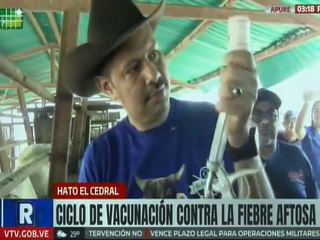 Inicia el ciclo de vacunación contra la fiebre aftosa en el estado Apure