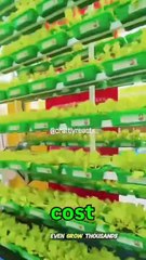 Grow food vertically, not traditionally 🌿 Start a vertical farming business from home or warehouse with low space, high yield, and strong profit margins! Would you try this sustainable startup?  #VerticalFarming #UrbanFarmin Reacts | DIY videos | crafts