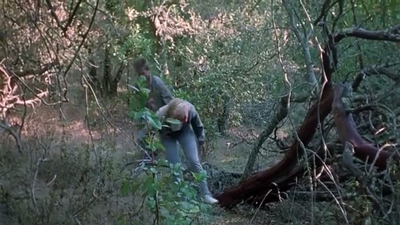 The Video Dead (1987)