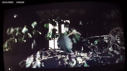 Something Wicked Movie 2014 James Patrick Stuart As Bill Webb Part 7