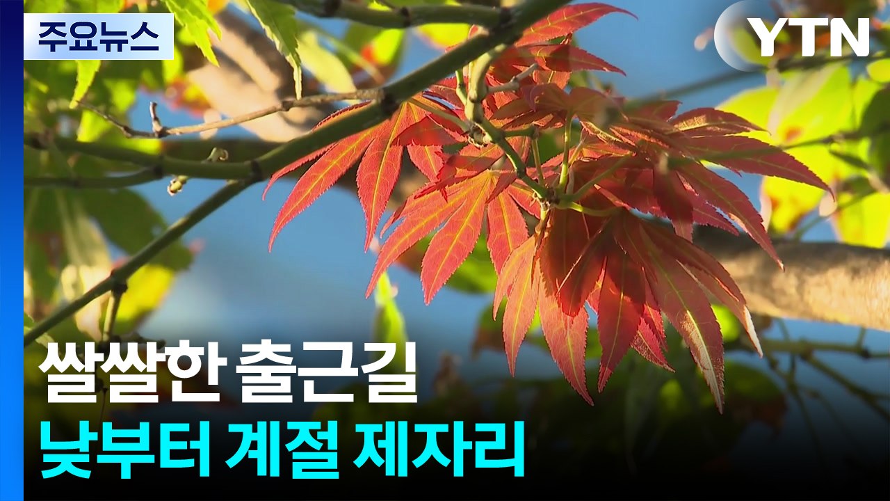 [날씨] 쌀쌀한 출근길, 낮부터 계절 제자리...완연한 가을 / YTN