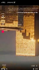 my ex wife the mafia princess dailymotion