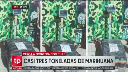 Incautan 3 toneladas de marihuana ocultos en un camión en Oruro