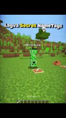 Minecraft New Lagva Secret Nametags Moment