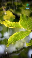 ¡Atención Bolivia!  Esta semana tendremos días cálidos, lluvias y vientos del sur con leve descenso de temperatura para el fin de semana.