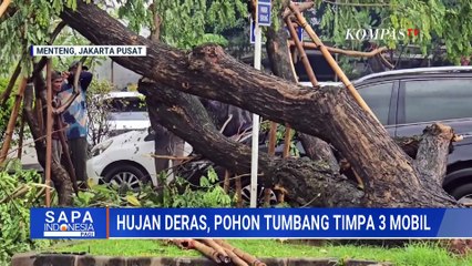 Pasca Hujan Deras dan Angin Kencang, Pohon Tumbang Timpa Mobil di Menteng dan Setiabudi