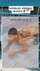 Auto Ngakak! Lihat Apa yang Dilakukan Anjing Ini! 🤣