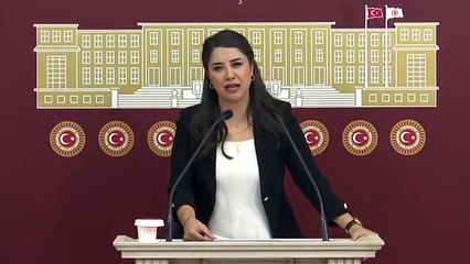 Dilan Kunt Ayan Şanlıurfa’daki Ulaşım Sorunlarını TBMM’ye Taşıdı!