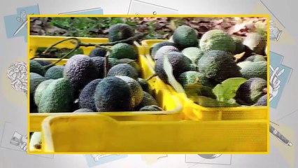 Me quedan 3 caminos: cárcel, muerte o éxito": Carlos Manzo [Entrevista completa]