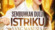 [Sub In] Sembuhkan Dulu Istriku yang Manusia Full Movie