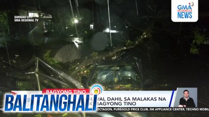 Ilang puno, nabuwal dahil sa malakas na hanging dala ng Bagyong #TinoPH | Balitanghali