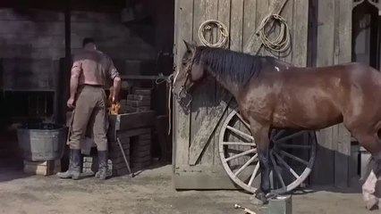 Trending view / Petticoat Laws (1957)