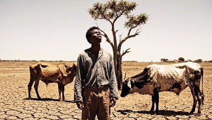 1762227416_merged_video_cd482f9c