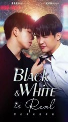 black n White eps 3