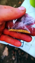 Böyle bir şey mümkün mü? Türkiye’de çekildiği söylenen altın çıkarma görüntüsü olay oldu